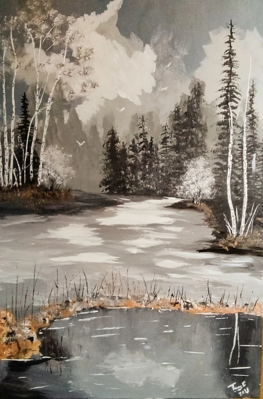 Forest River Reflection
