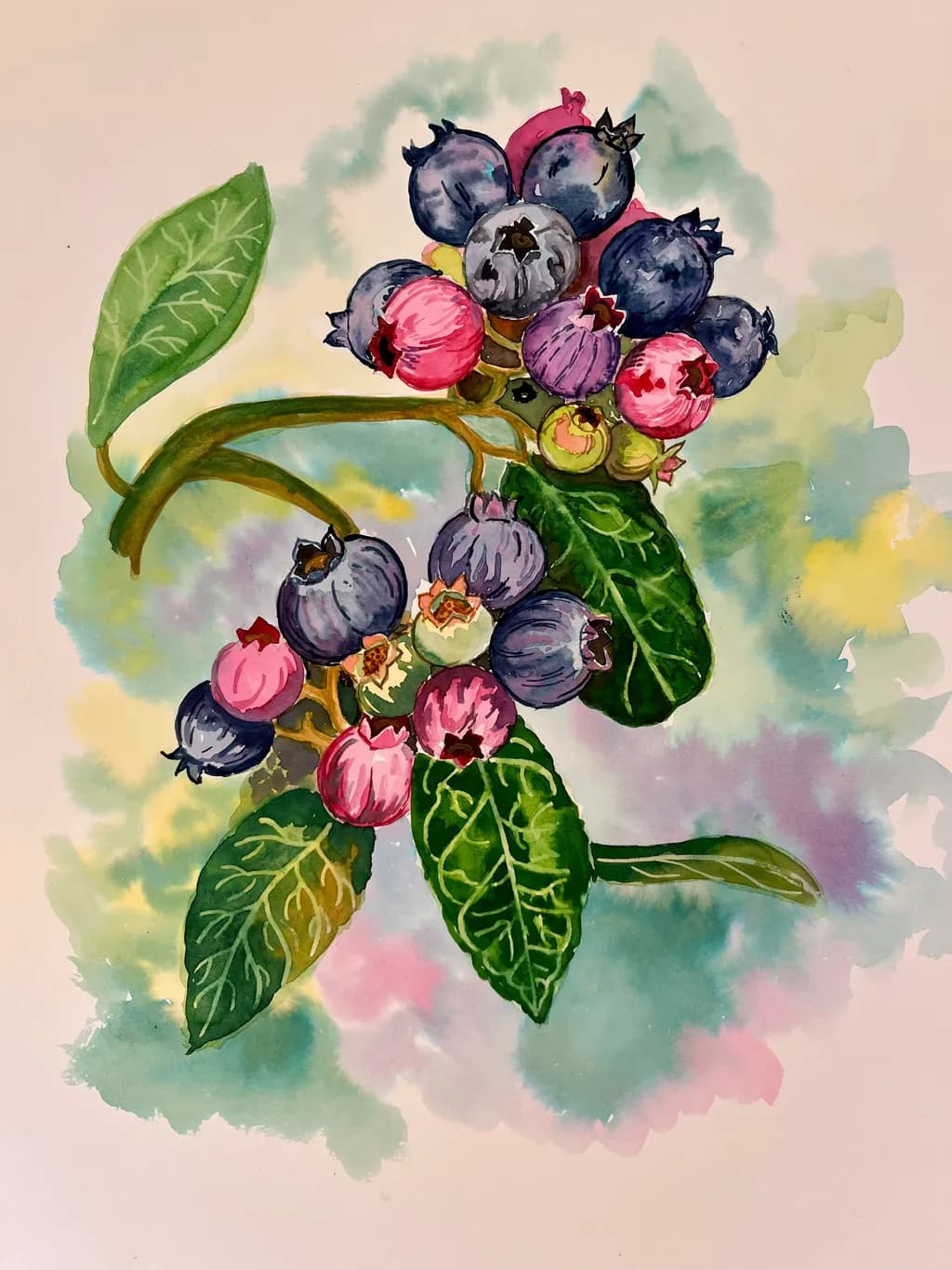 Bountiful Blueberries