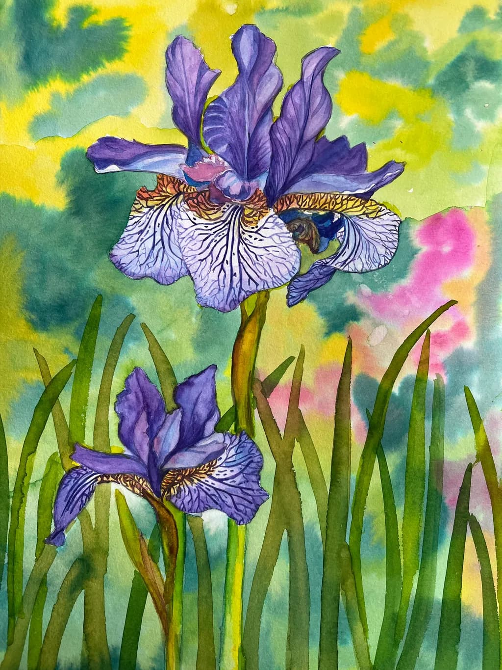 Iris Symphony
