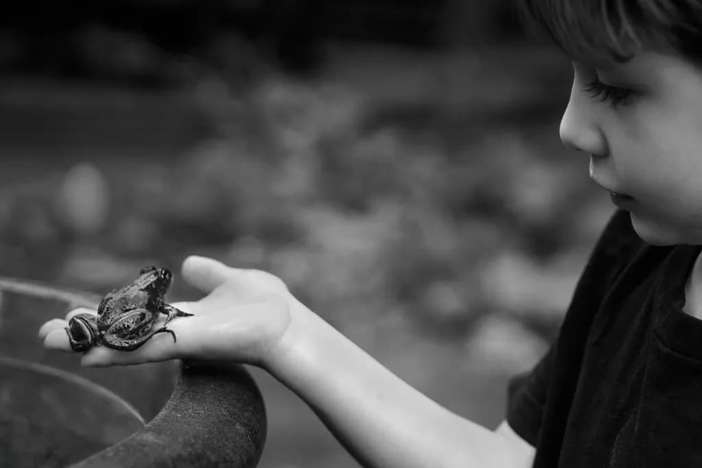 A Frog and His Boy