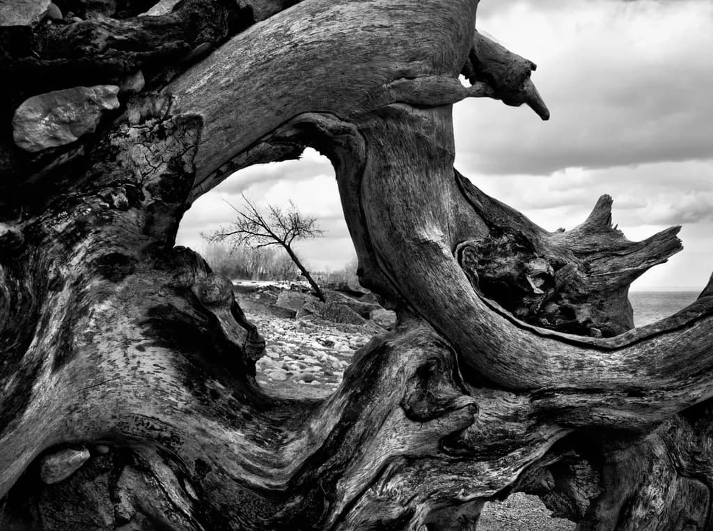 Natural Framing