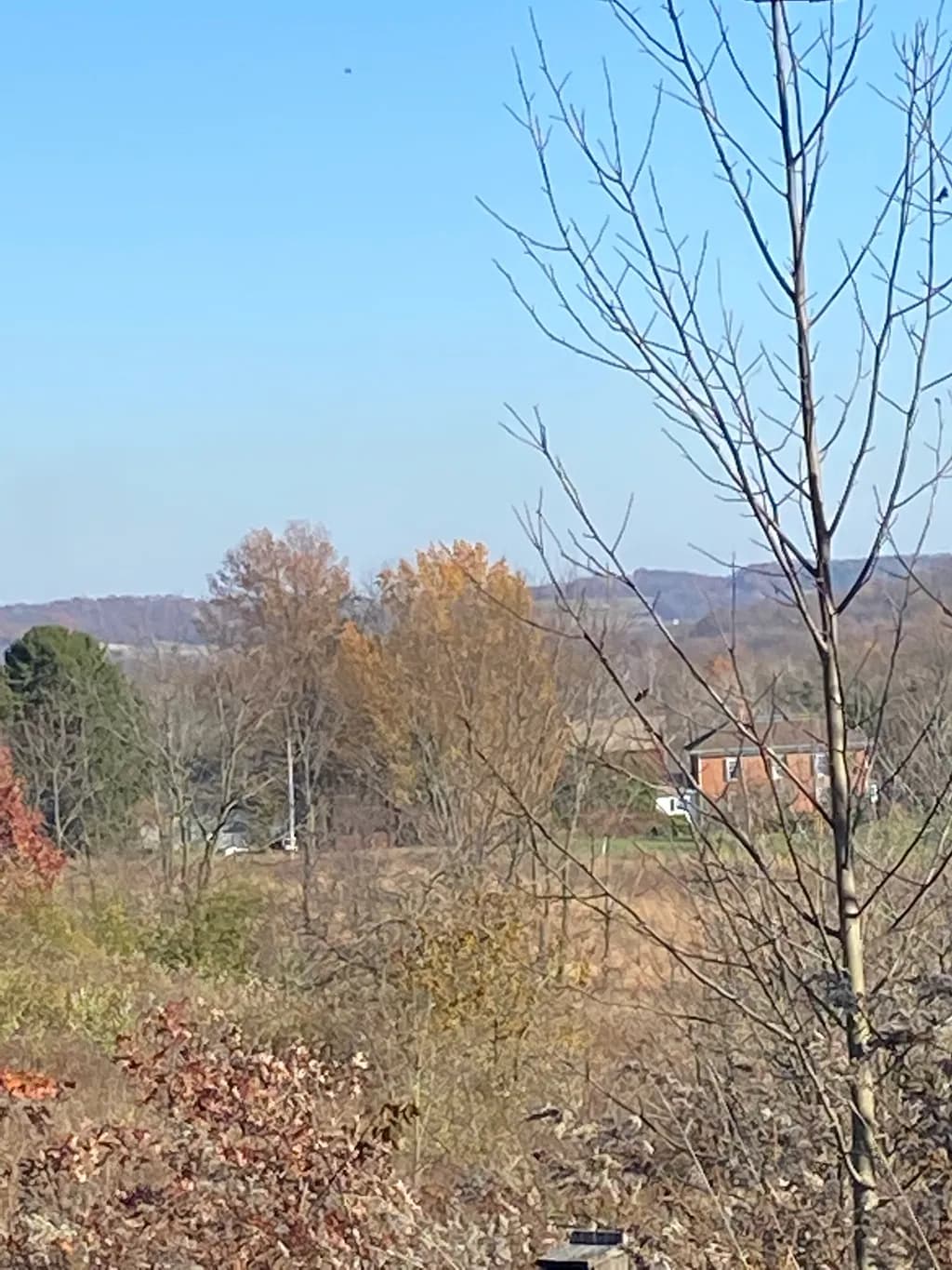 Autumn Outlook