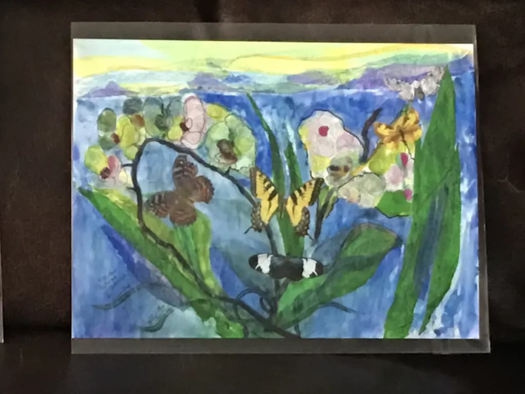 Butterfly Garden
