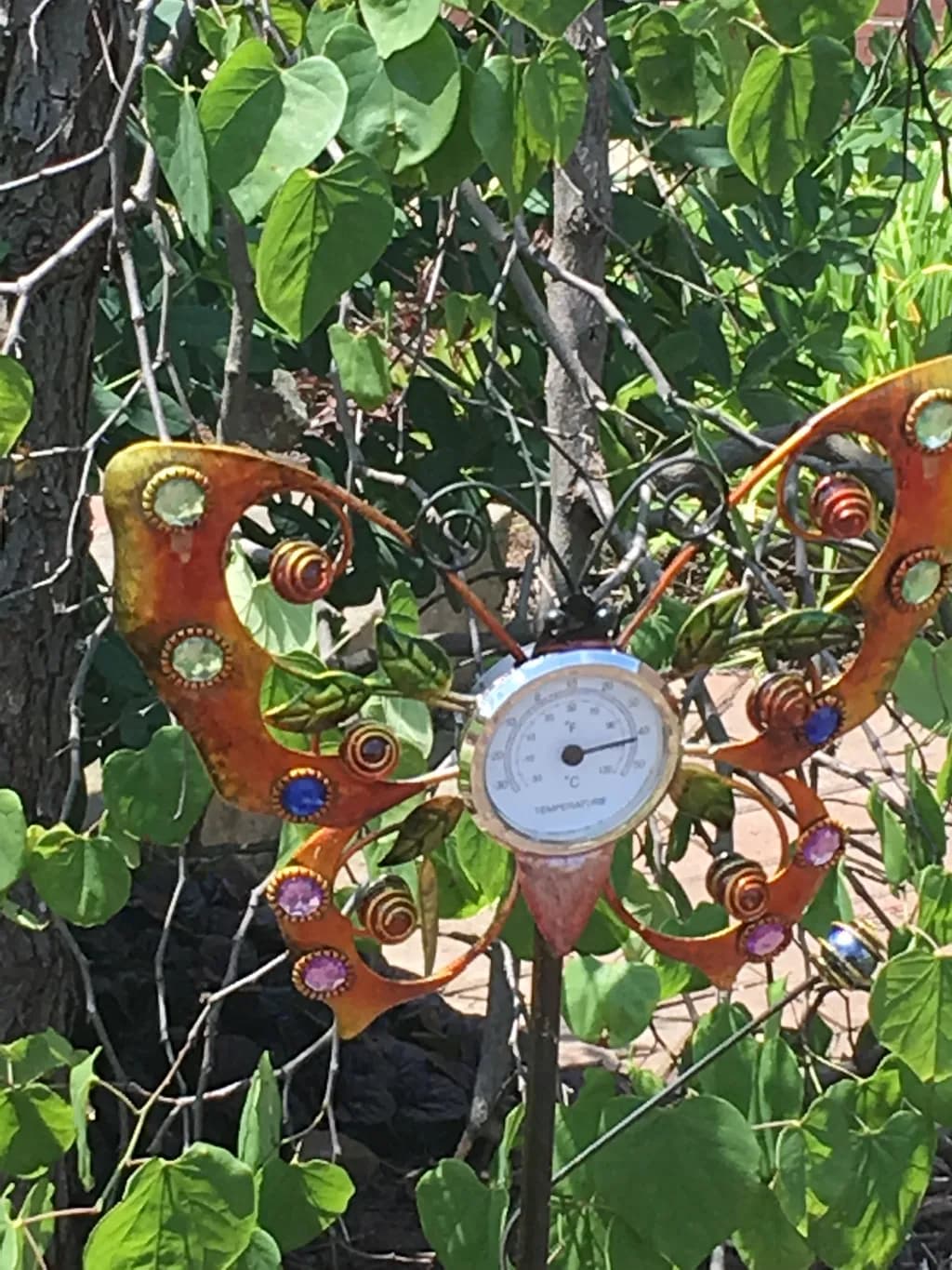 Jewelwing Thermometer
