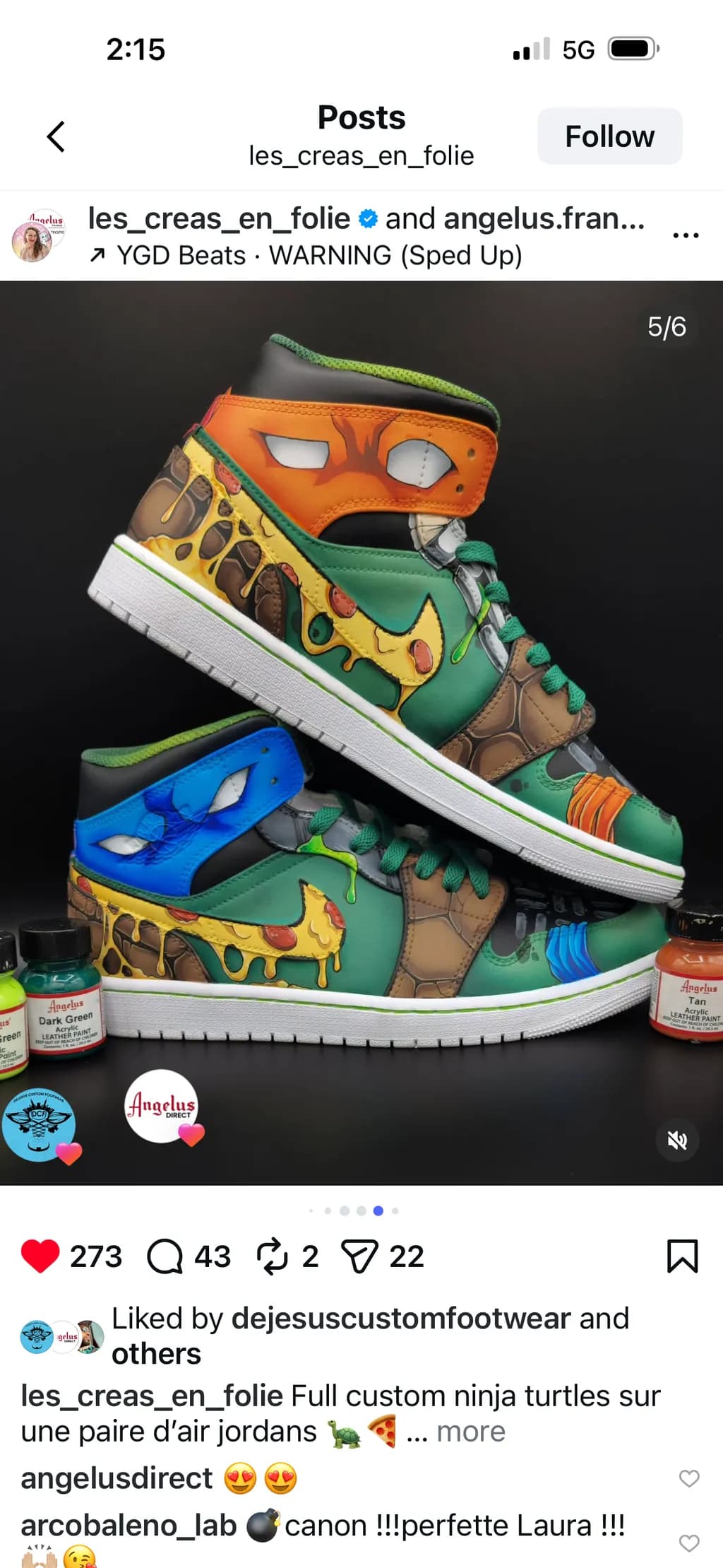 Ninja Pizza Kicks