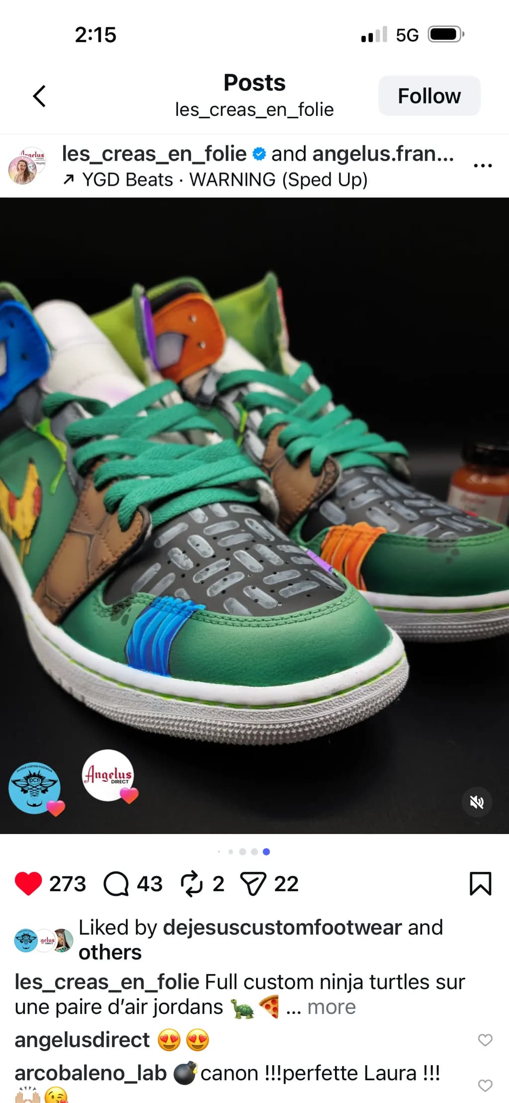 Turtle Power Jordans