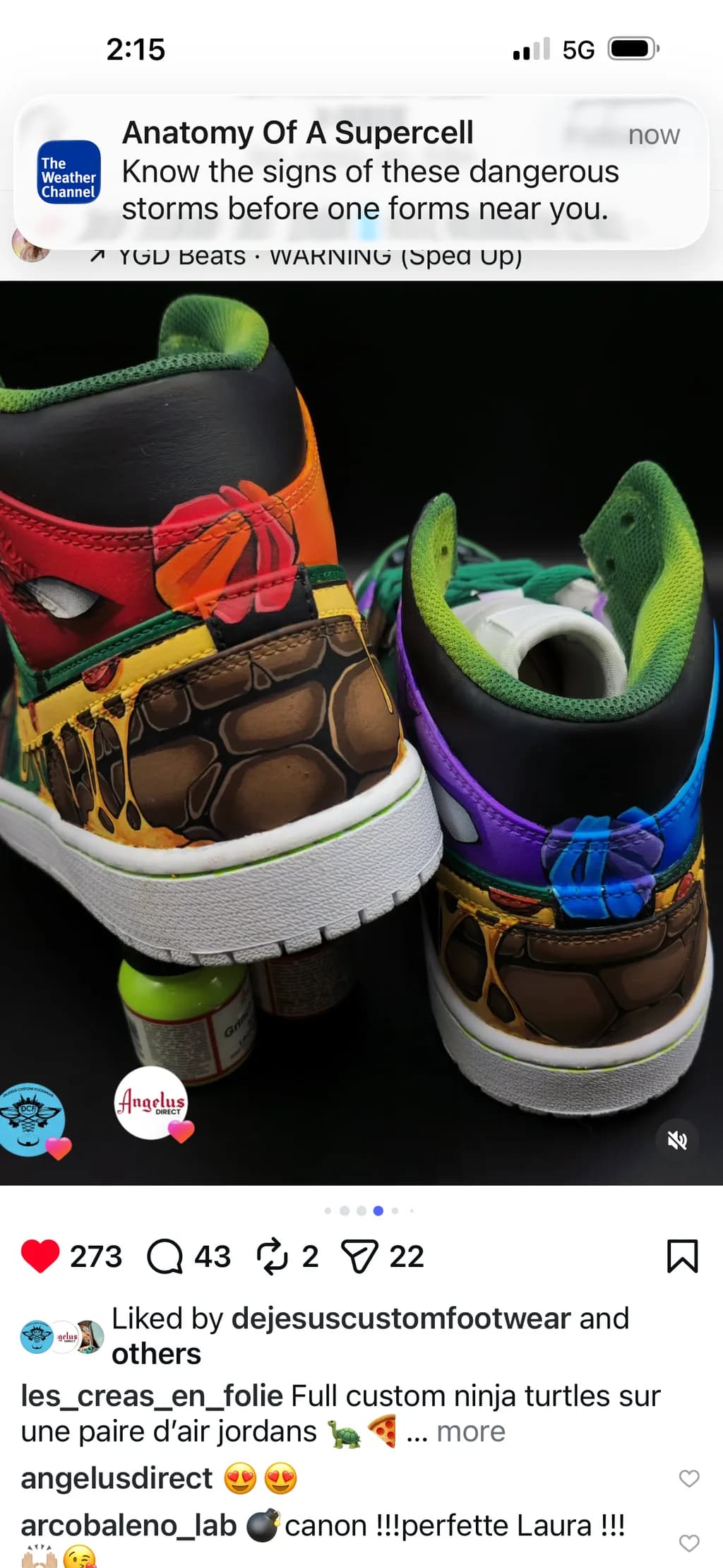 Teenage Mutant Sole Shells