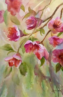 Pink Watercolor Blossoms