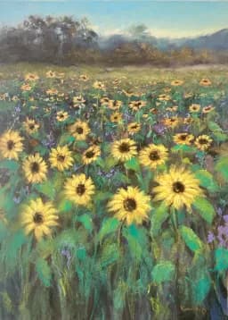 Sunflower Meadow at the Mountain’s Edge
