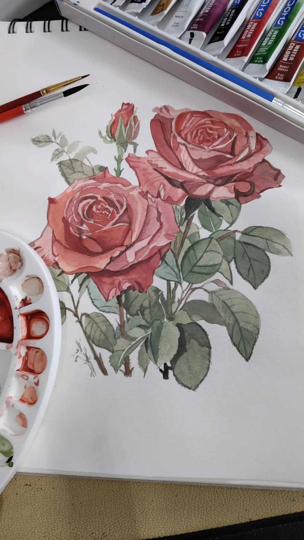 Botanical Study: Roses