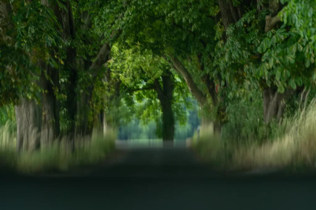 Green Tunnel