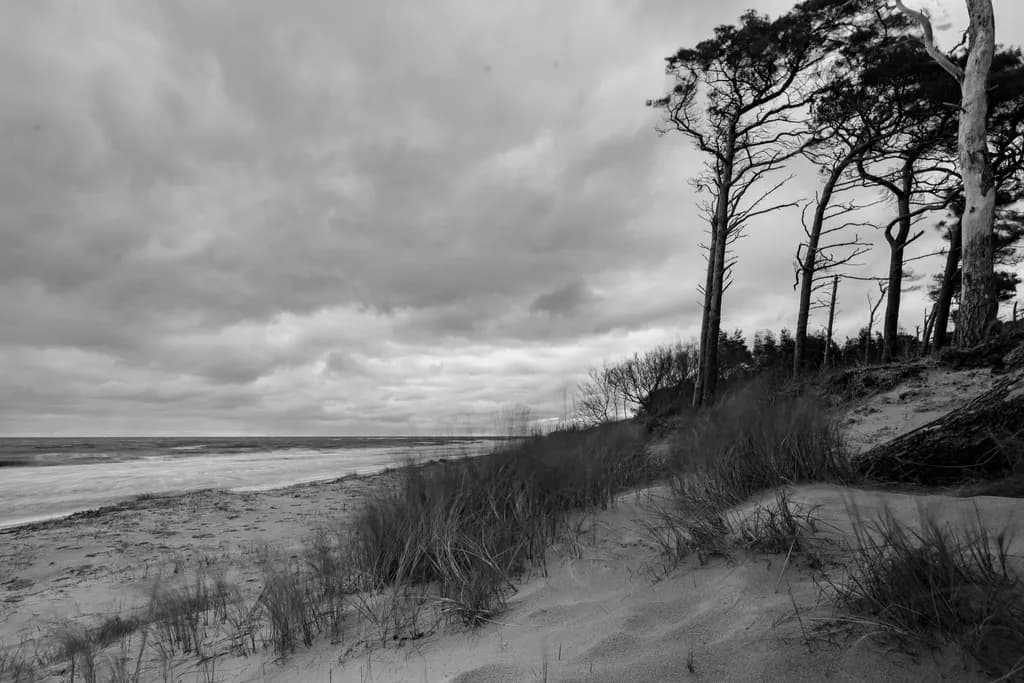 Coastal Tension