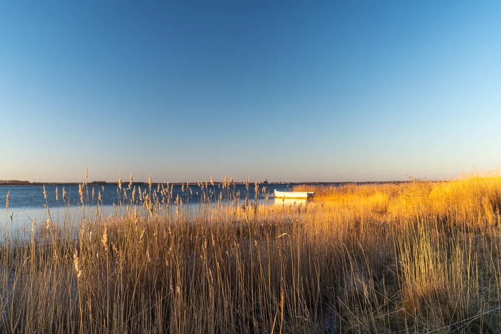 Golden Reeds Lake