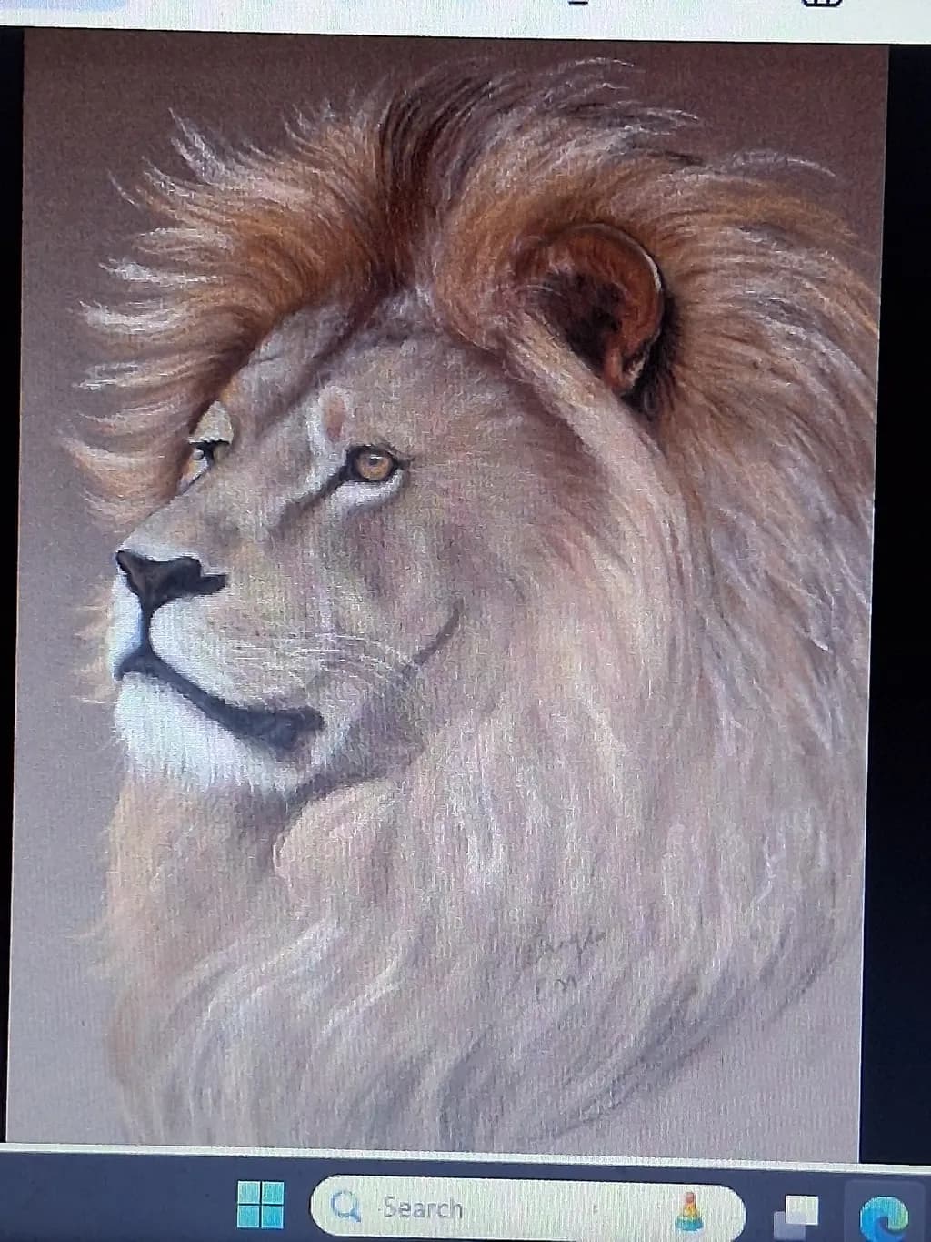 Regal Gaze