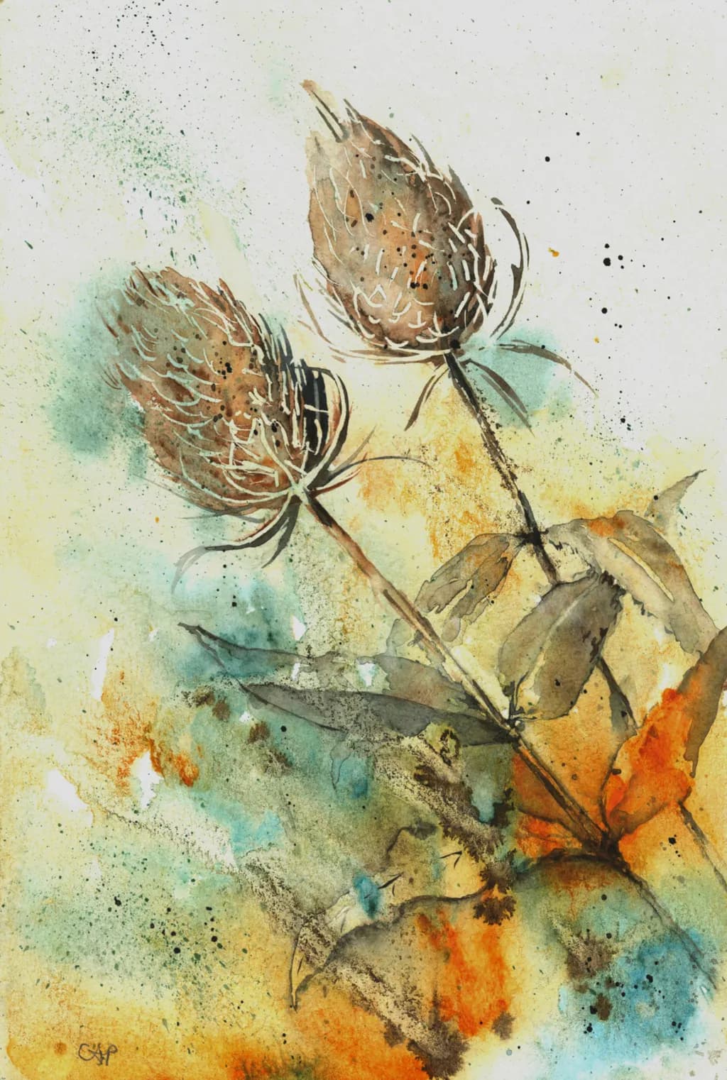 Fire Teasels