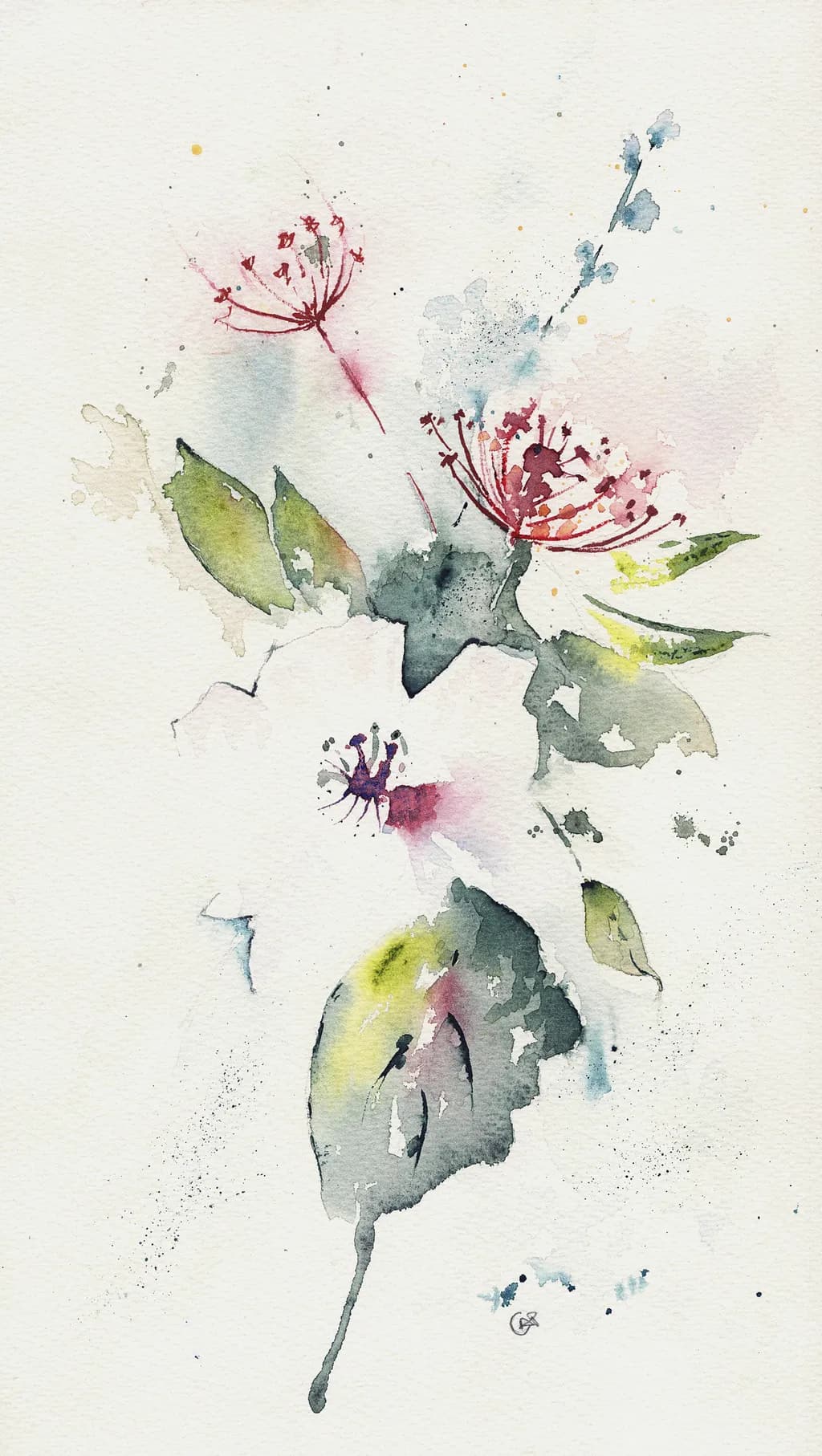 Abstract Japanese Anemones