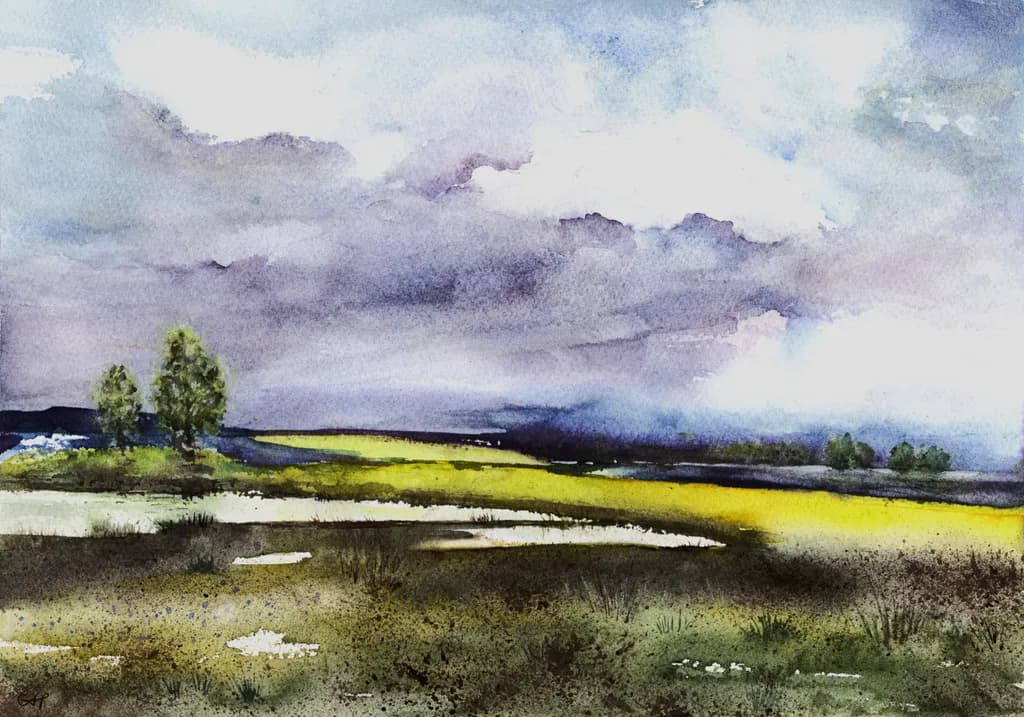 Where Water Meets Land
