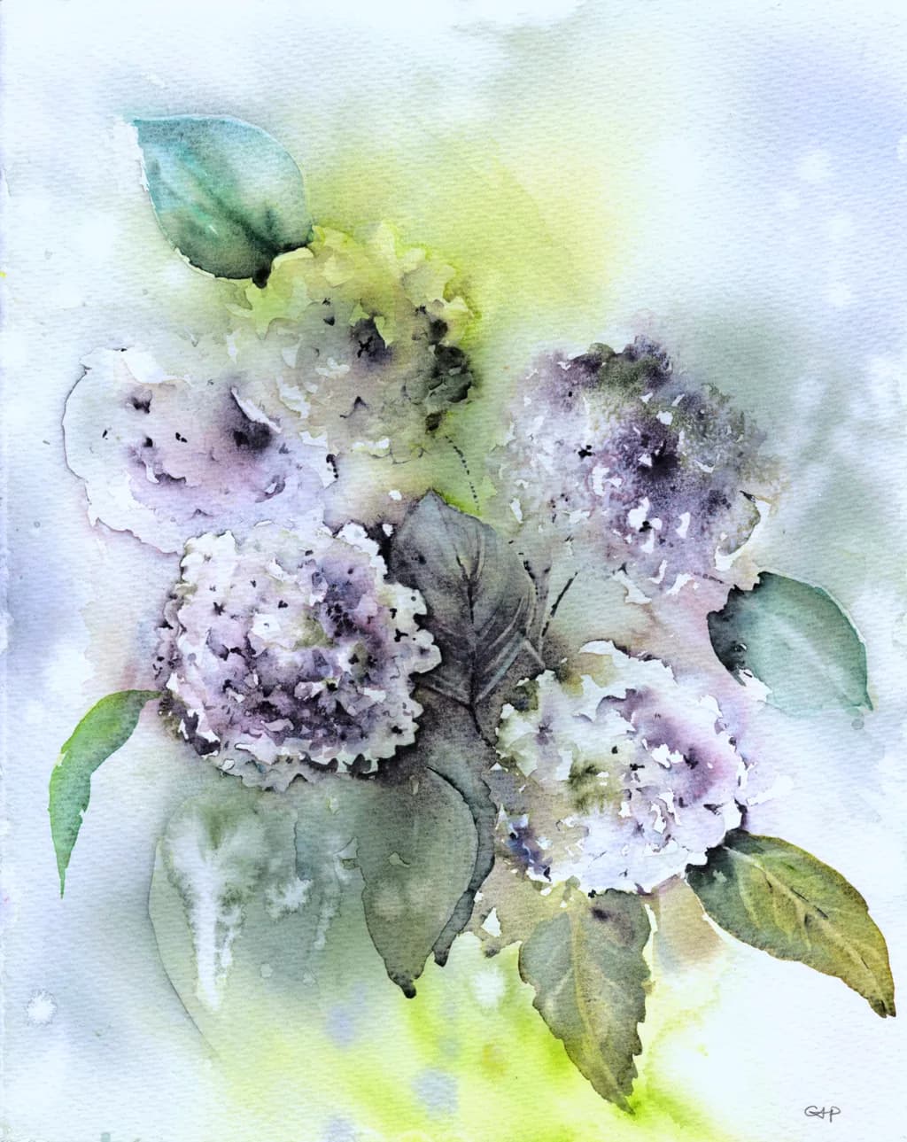 Heavenly Hydrangeas