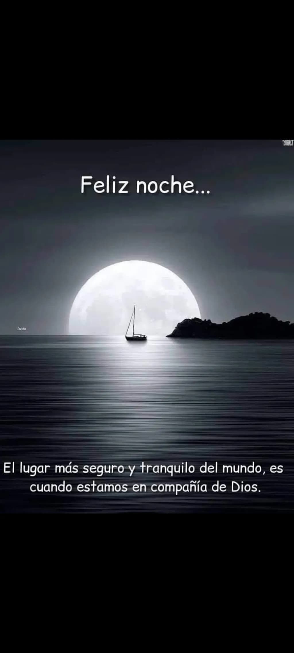 Safe Harbor Night