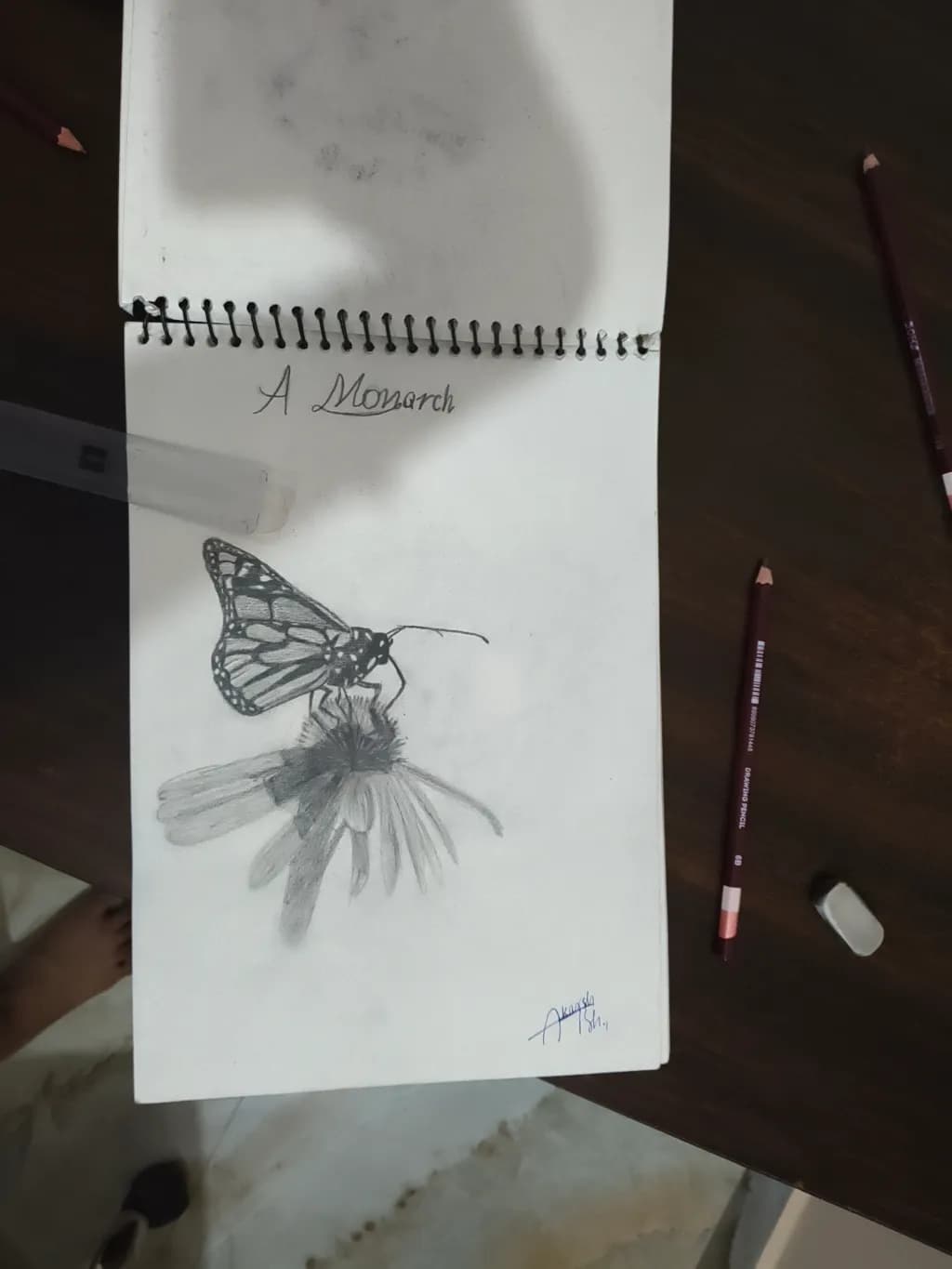 A Monarch