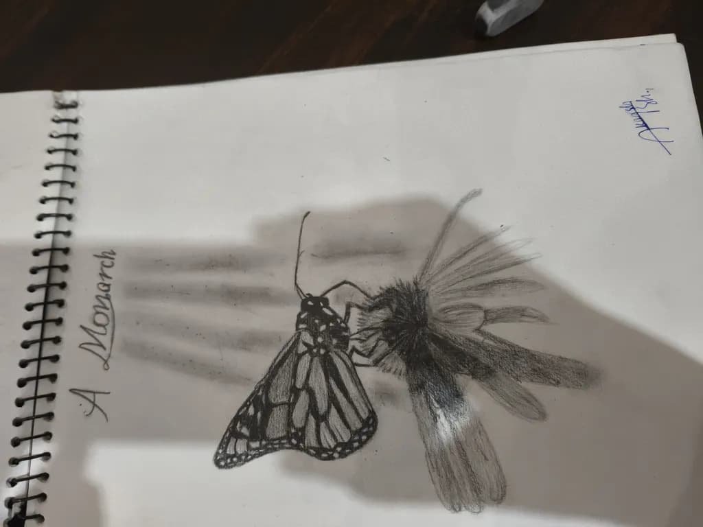 A Monarch