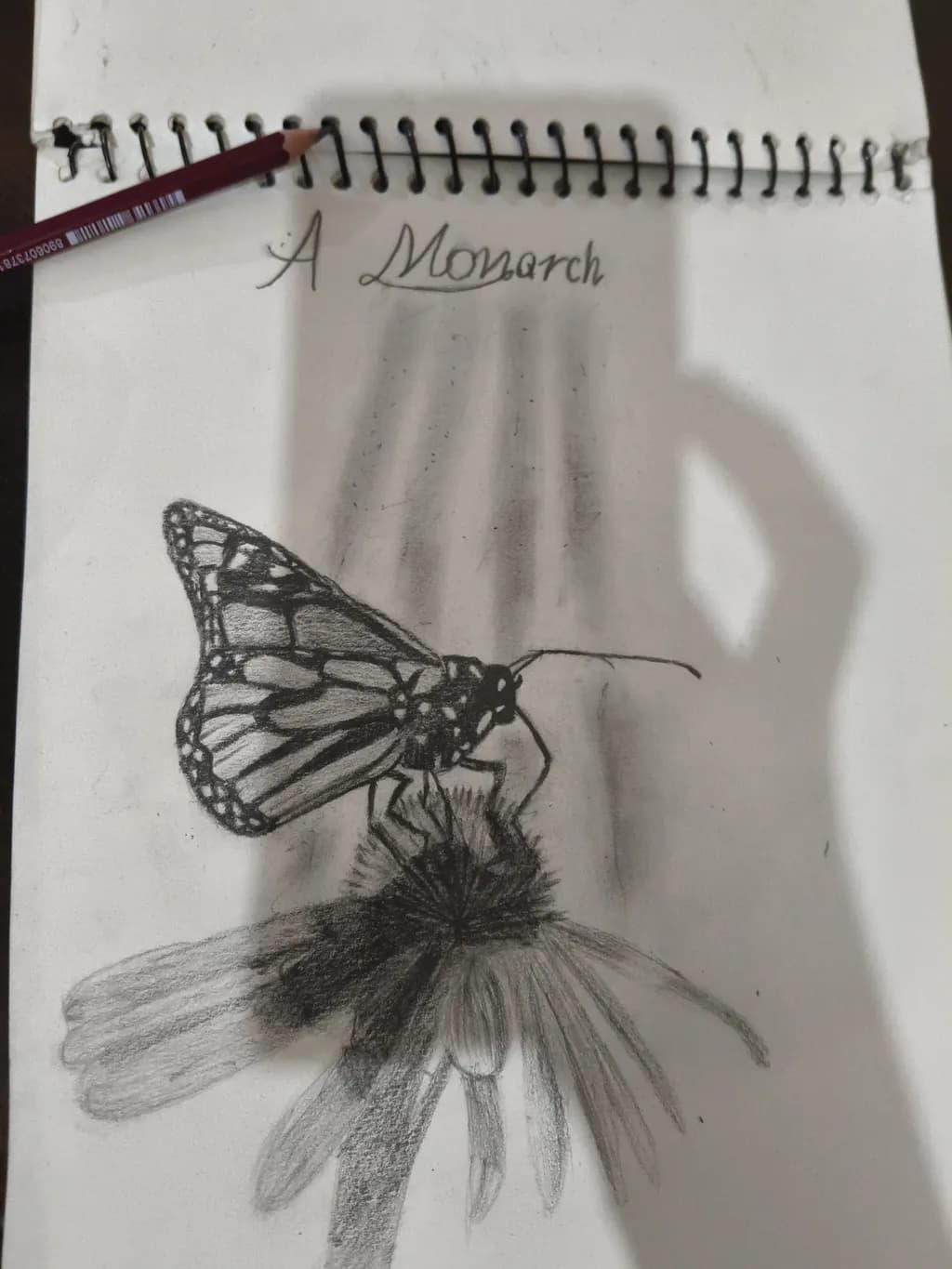 A Monarch
