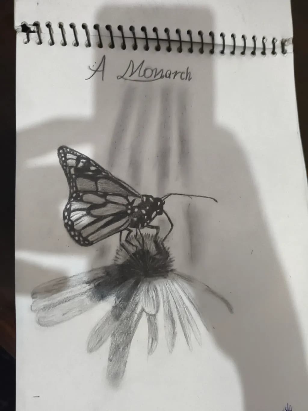 A Monarch