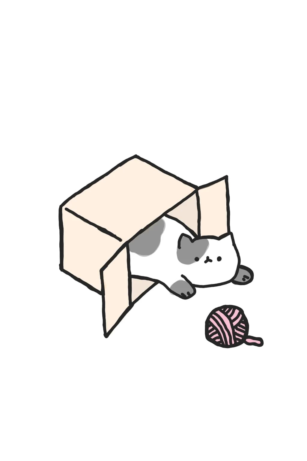 Boxed Curiosity