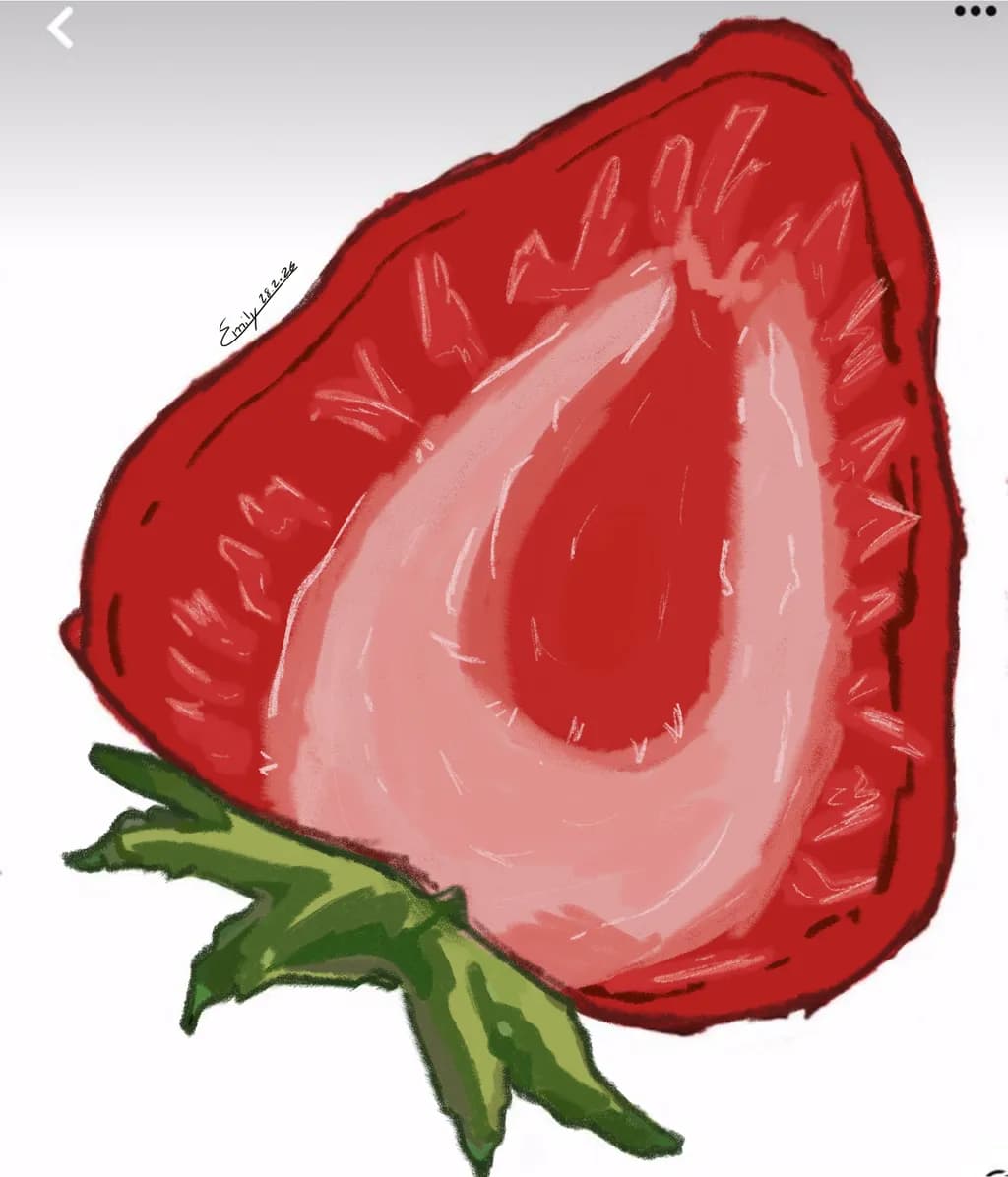Projekt Strawberry Slice