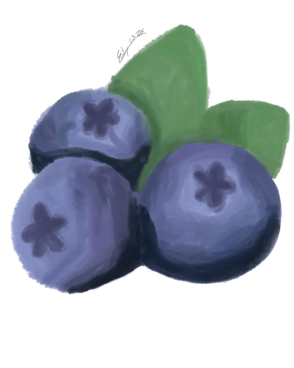 Blueberry Trio