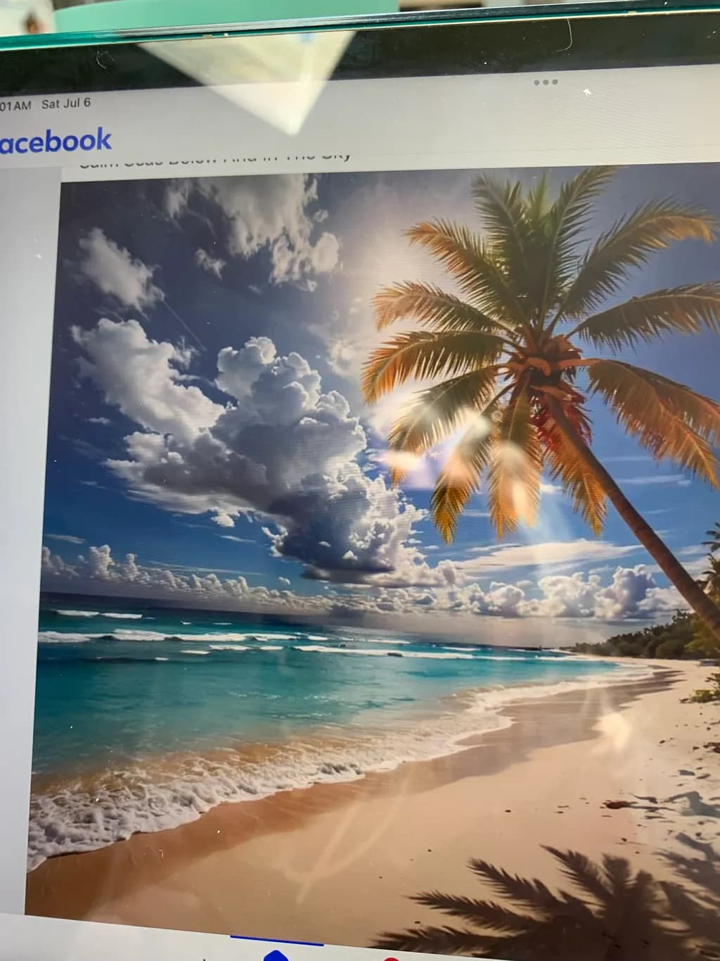Tropical Horizon