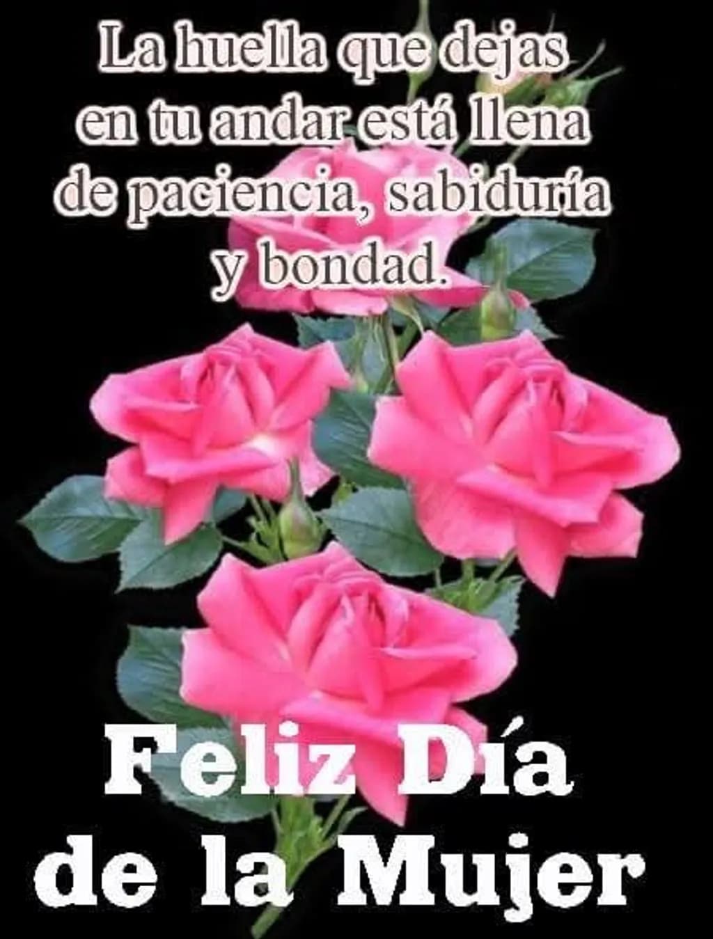 Rosas de Sabiduría