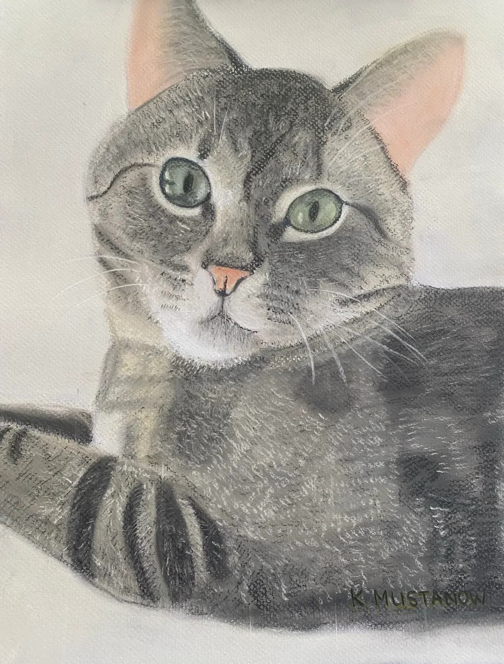 Tabby Gaze