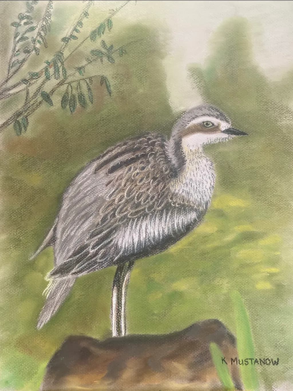 Rockbound Wader