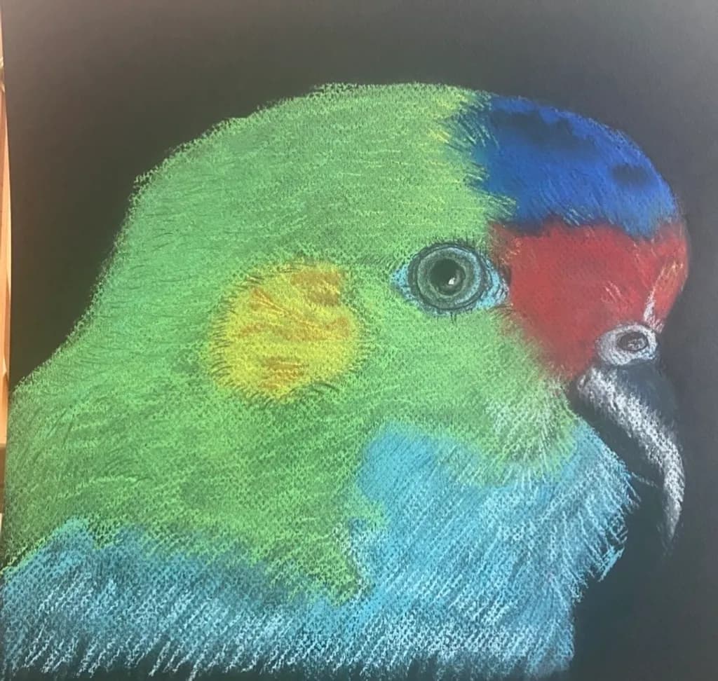 Prismatic Parrot