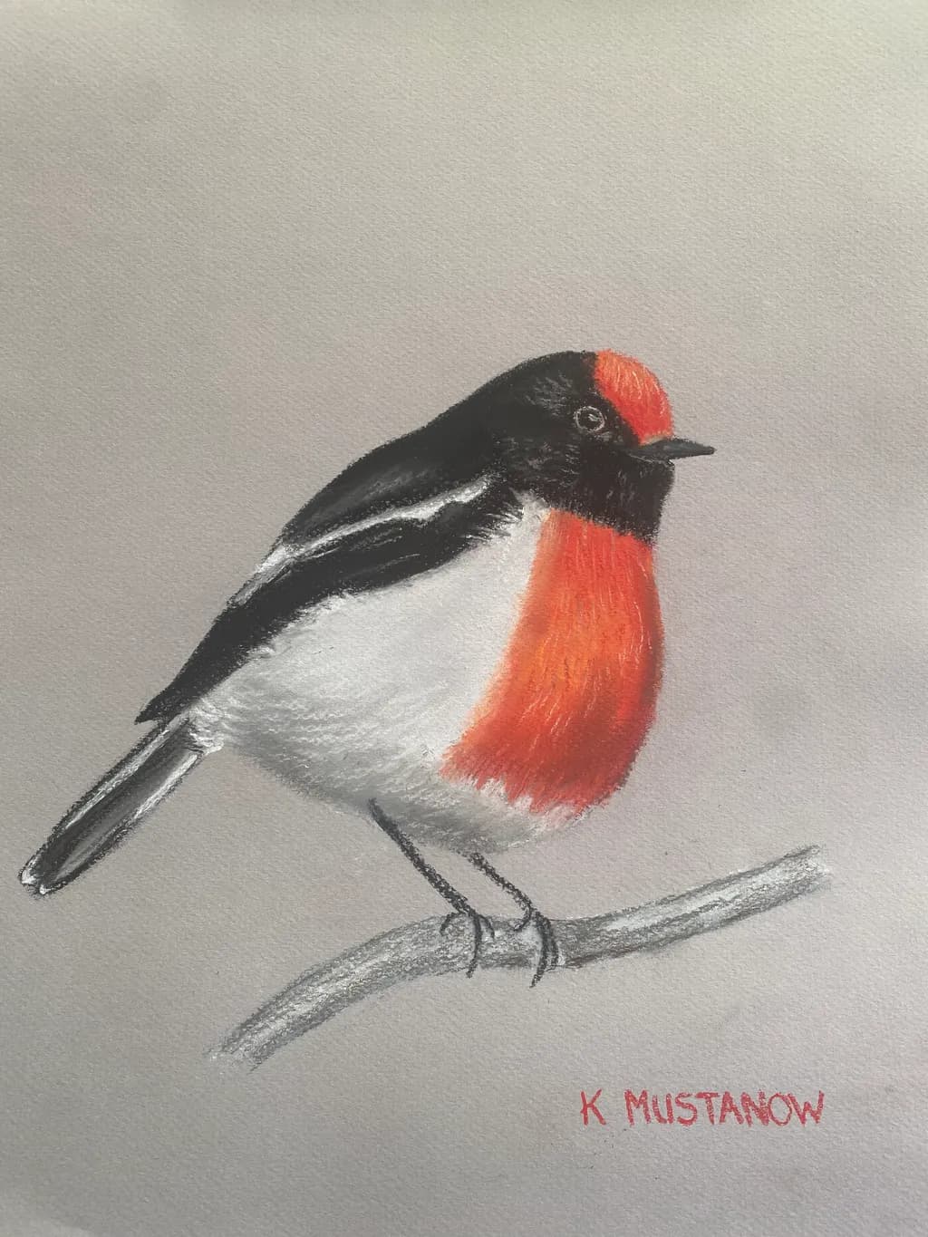 Scarlet Robin Perch