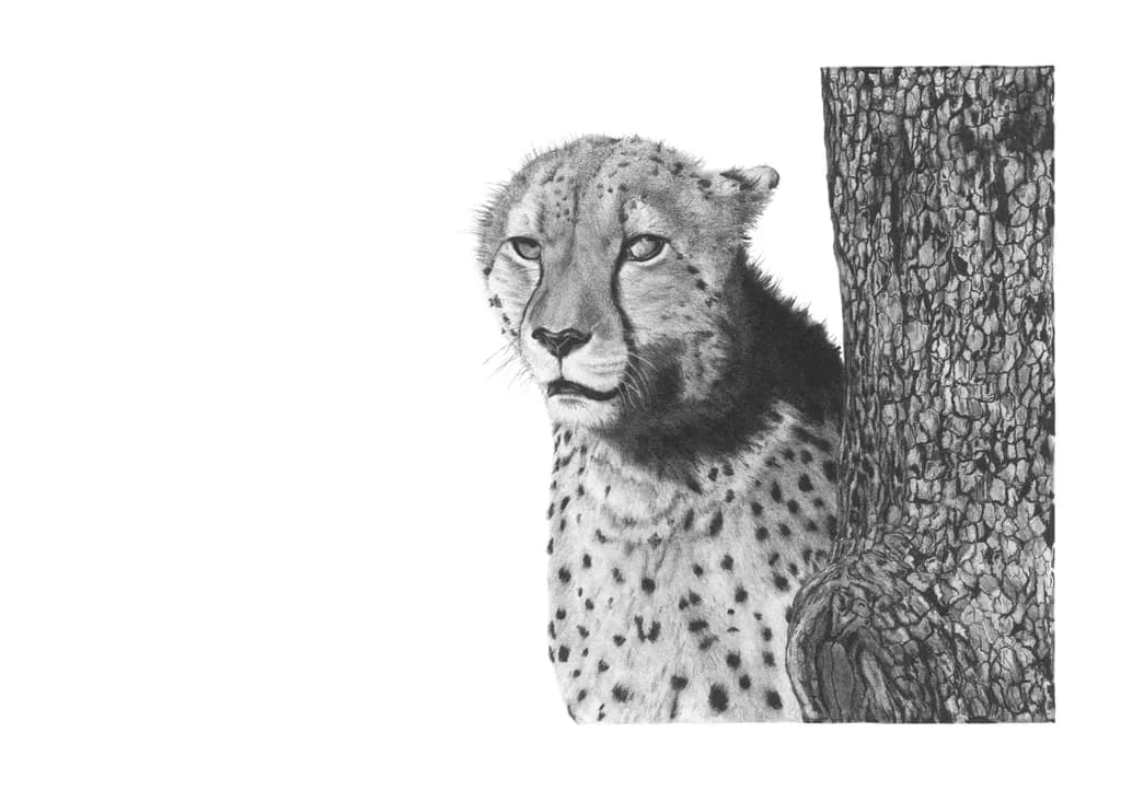Mystic Cheetah