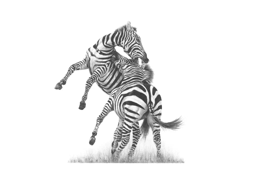Fighting Stallions