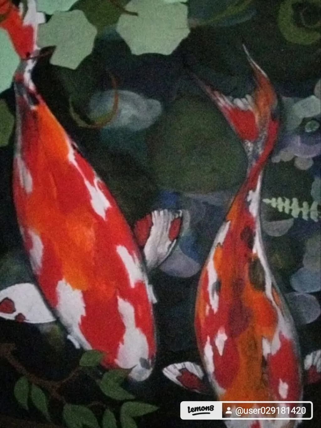 Koi Harmony