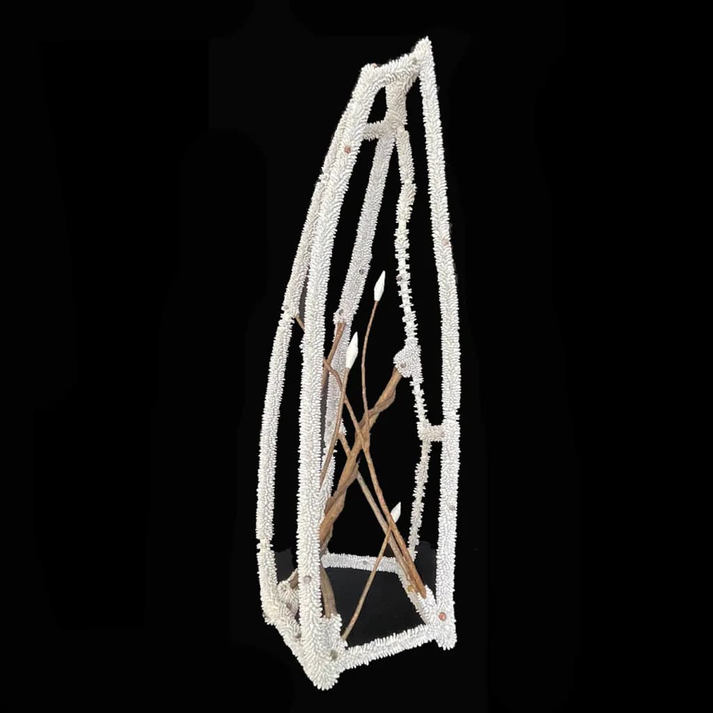 Coral Frame