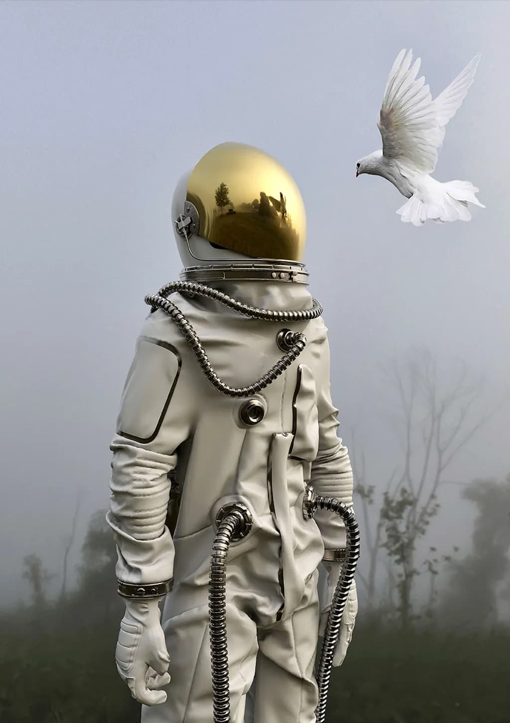 Human & Nature