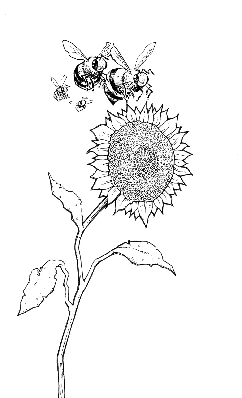 Bathroom Mural Lineart