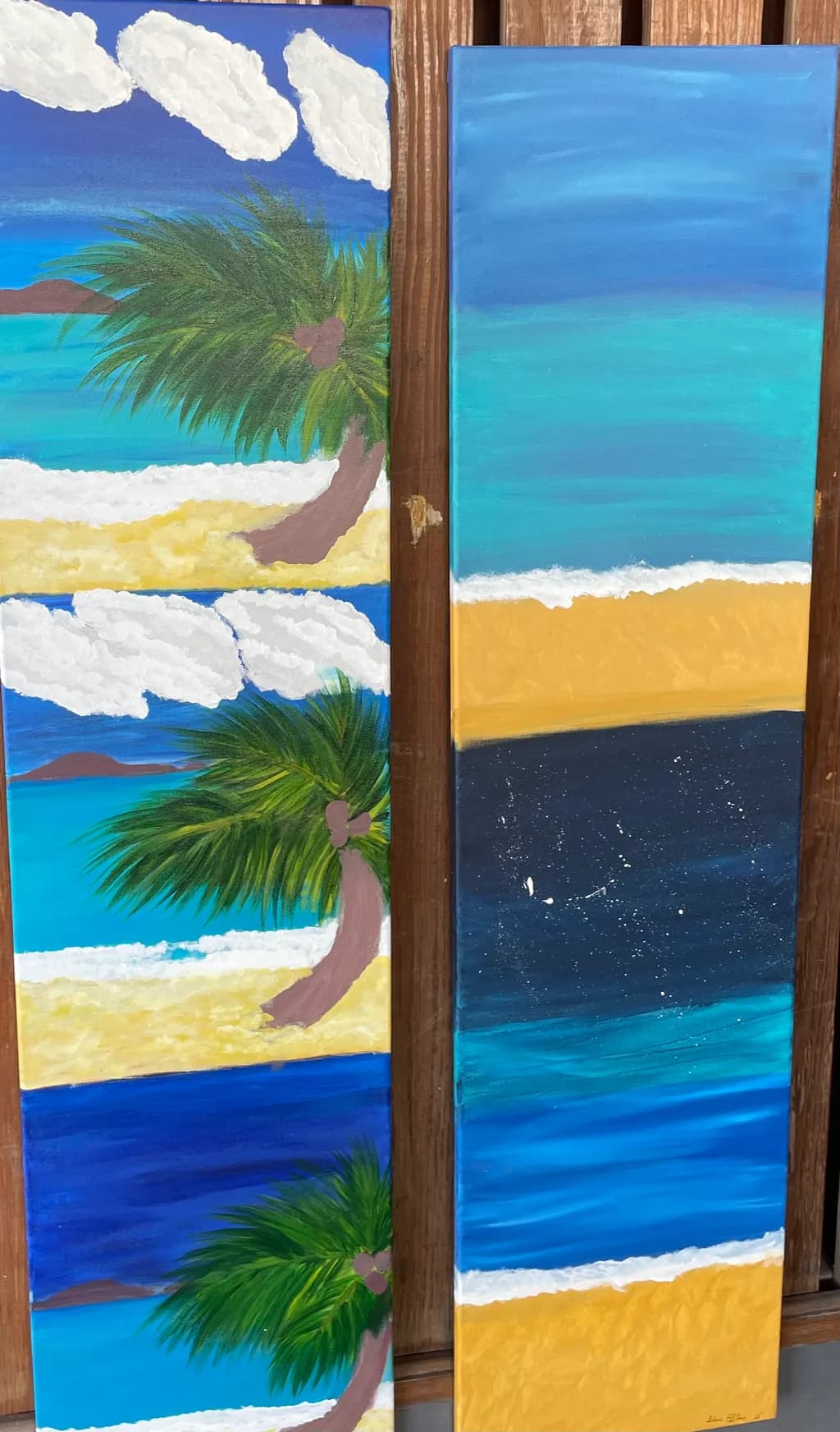 Coastal Daylight and Nightfall