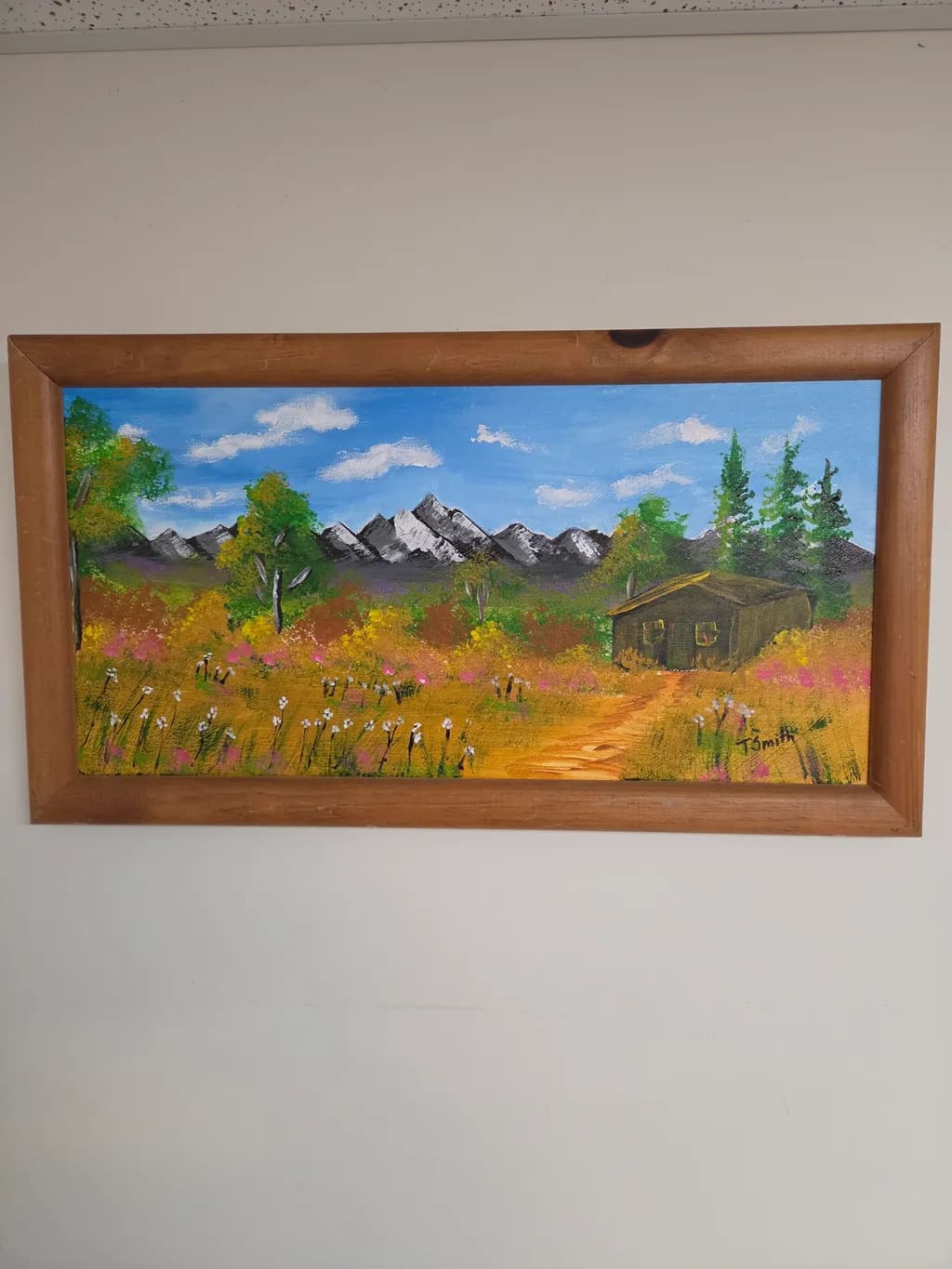 Mountain Meadow Cabin