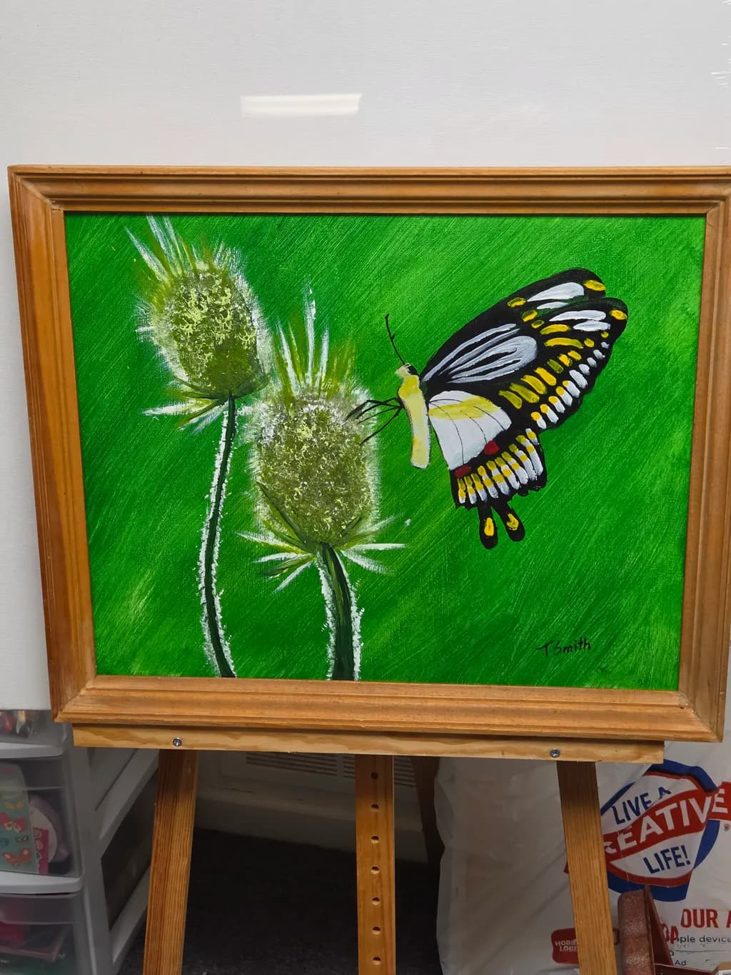 Butterfly on Thistle Flowers