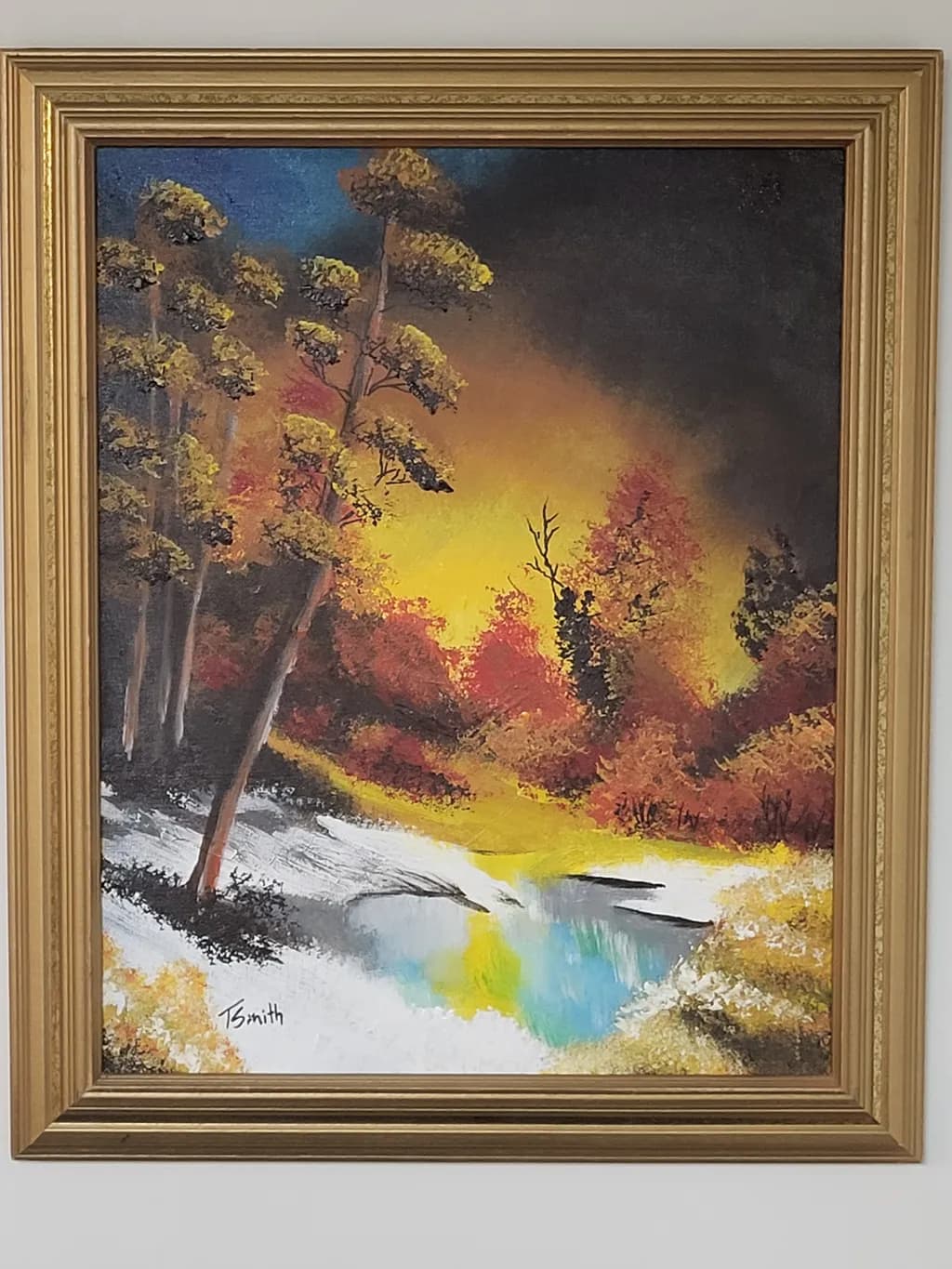 Forest Edge Reflection