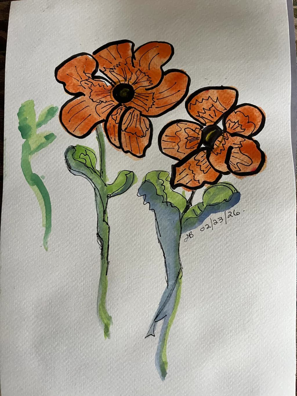 Tangerine Bloom