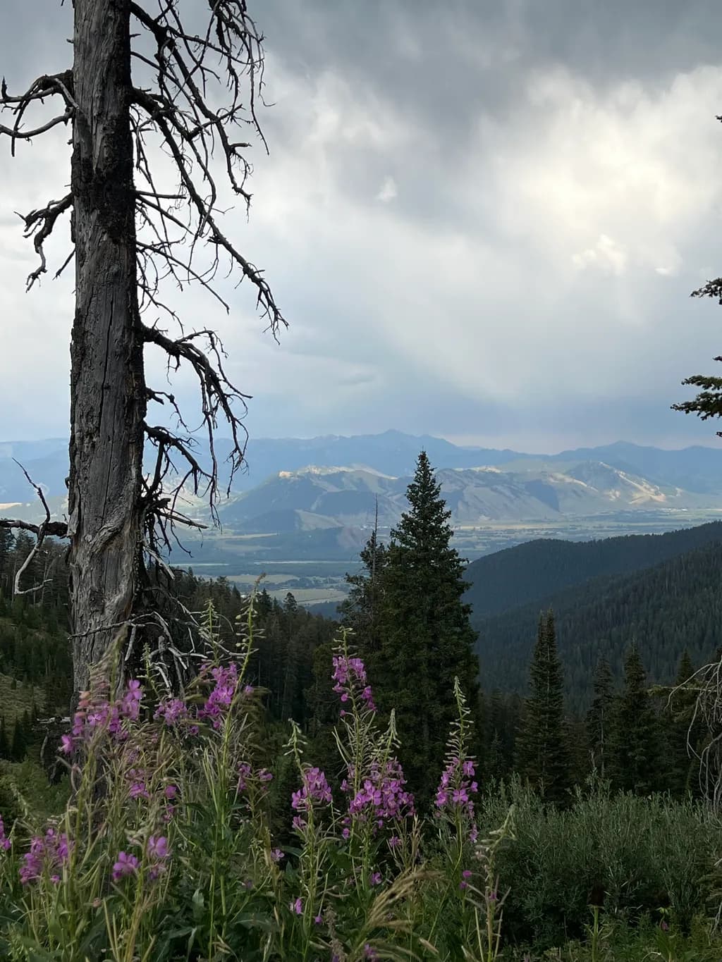 Rainy Pass