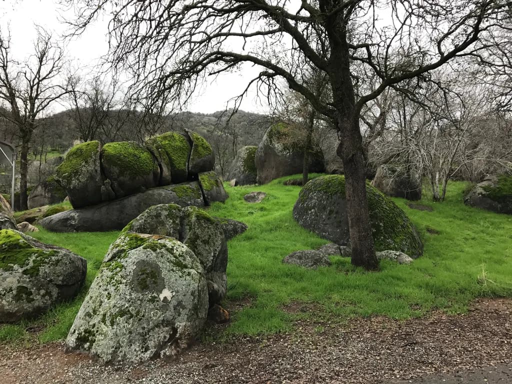 Mossbound Stones