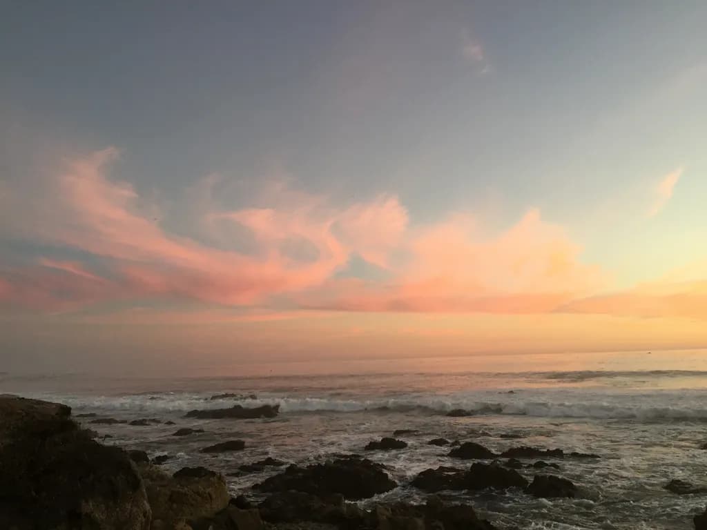 Crimson Tide Breeze